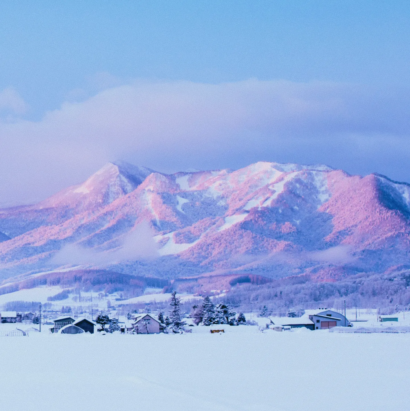 朝焼けに染まる富良野の雪山と冬の田園風景